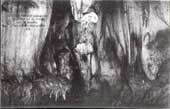 Grotte de la Mouthe