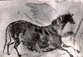 Grotte de Lascaux