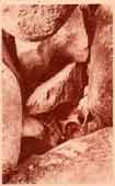 Grotte du Diable (39 Ko)