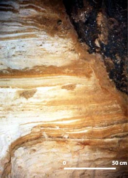Coupe dans la galerie du Marchand de Sable de la cueva Fresca