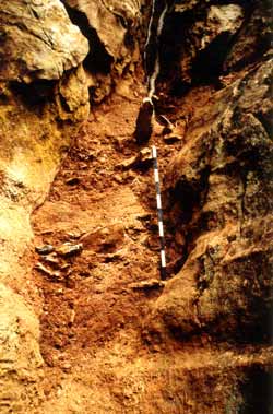 Grottes de Montroux (Mayenne)