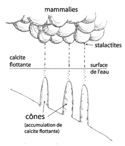 Schéma explicatif