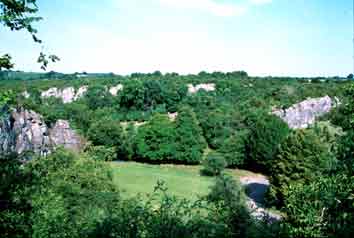 Le pré de la cave à Margot aujourd'hui