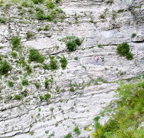 Sentier d'accès