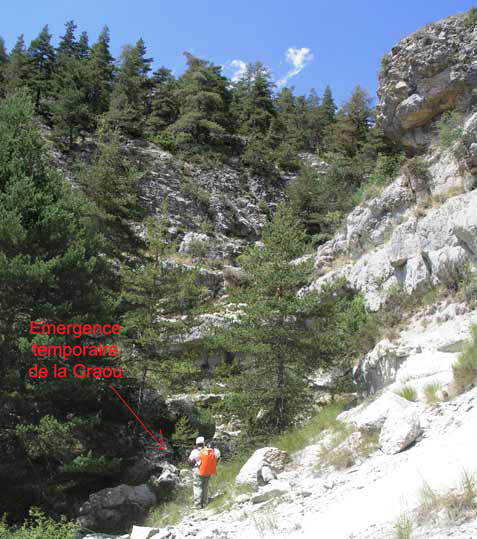 Emergence de la  Graou