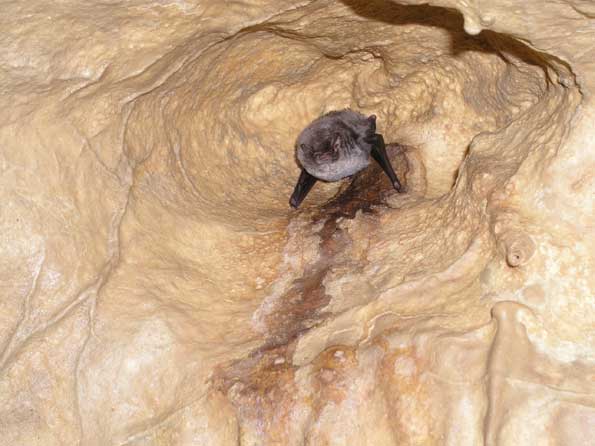 Grotte de Saint-Benoît