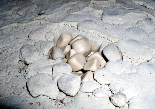 Grotte de Saint-Benoît