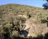 Sorgues du Mardaric