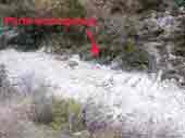 Sorgues du Mardaric