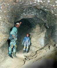 Baume de France