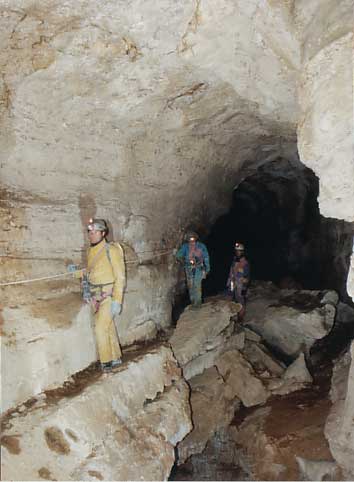 Baume de France