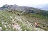 Montagne du Pied du Mulet