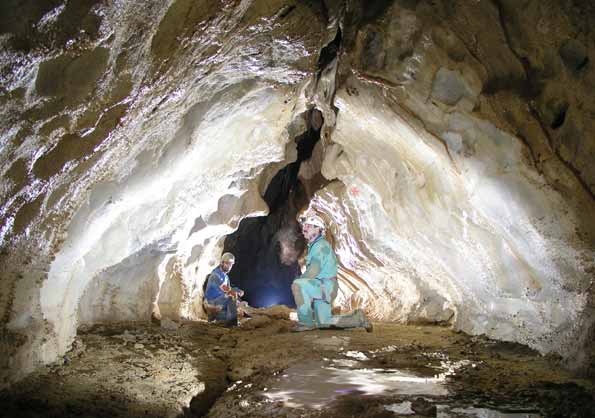 Grotte du Chat