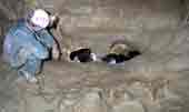 Grotte du Chat