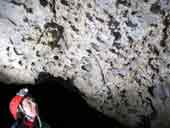 Grotte du Chat