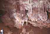 Grotte de la Bartade