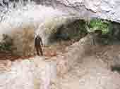 Grotte de la Bartade