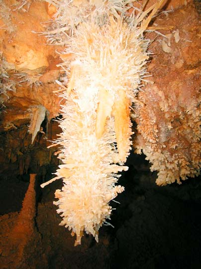 Grotte de la Bartade