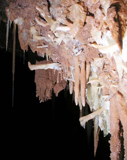 Grotte de la Bartade