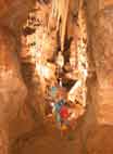 Aven Asi
