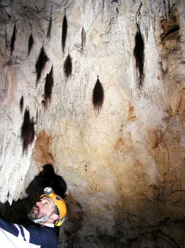 Grotte du Maquis