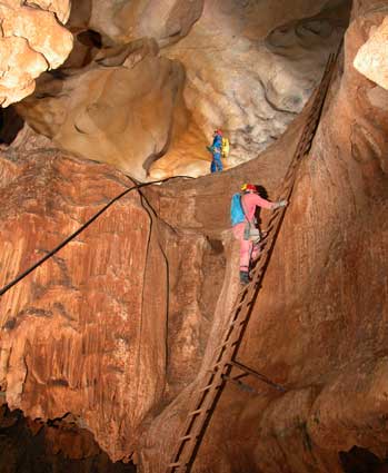 Grotte de Saint-Marcel (réseau 1)