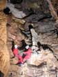 Grotte de Saint-Marcel (réseau 2)