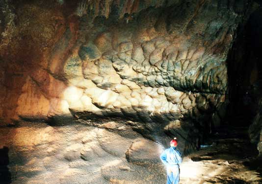 Grotte de Saint-Marcel (réseau 1)