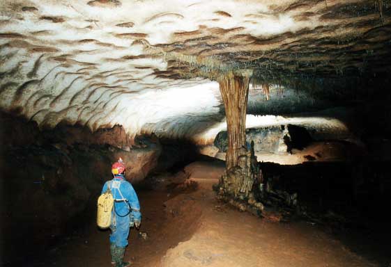 Grotte de Saint-Marcel (réseau 1)