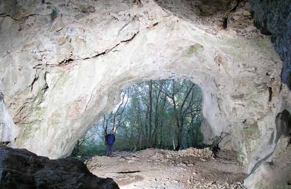 Baume Trauchade