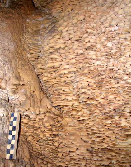 Grotte de l'Adaouste