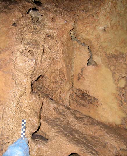 Grotte de l'Adaouste