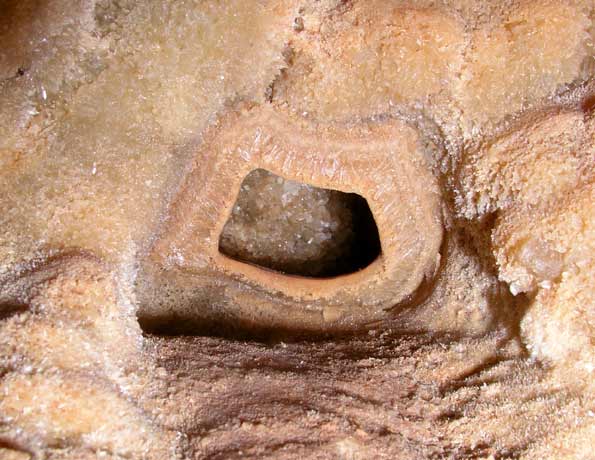 Grotte de l'Adaouste
