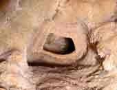 Grotte de l'Adaouste