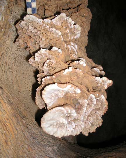 Grotte de l'Adaouste
