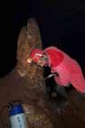 Grotte des Champignons