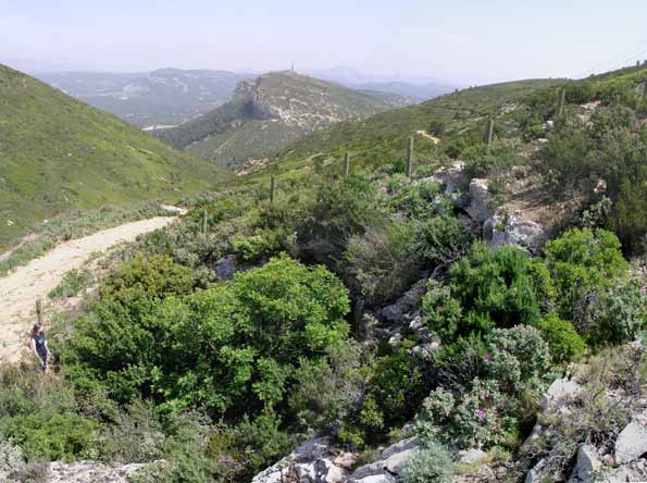Cap Canaille