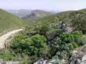 Cap Canaille