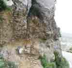 Cap Canaille