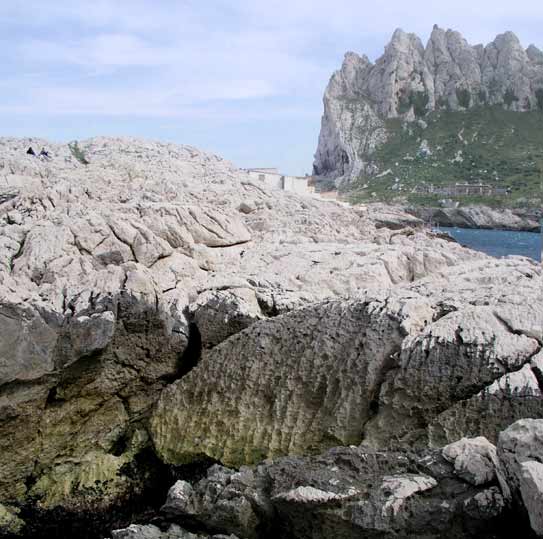 Marseilleveyre