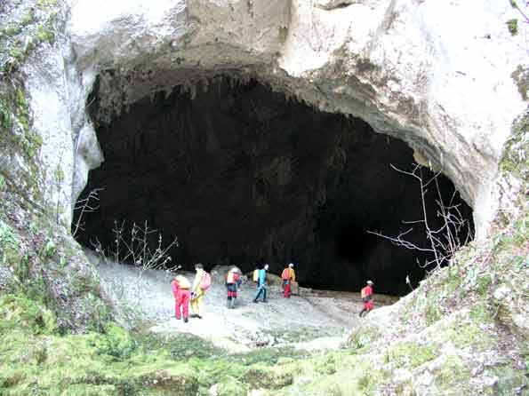 Baume Archée