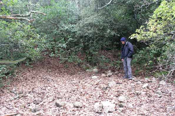 Charbonnière du Monier