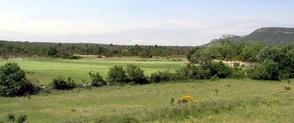 Poljé de Lussan