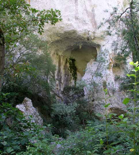 Baume des Concluses