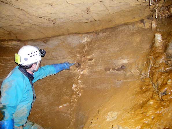 Grottes de la mine de Gargory
