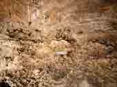 Grotte Sylvain