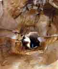 Grotte d'Aldène