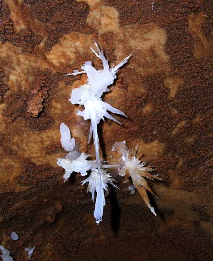 Grotte de l'Asperge