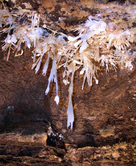 Grotte de l'Asperge