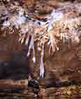 Grotte de l'Asperge